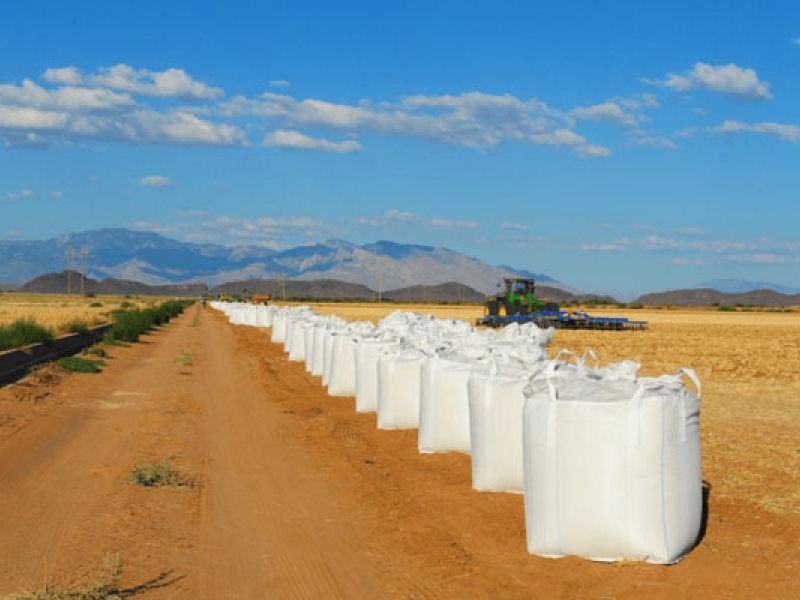 The grain is placed in totes weighing 1,500 – 2,000 lbs and transported to BKW's climate-controlled processing and storage facility.