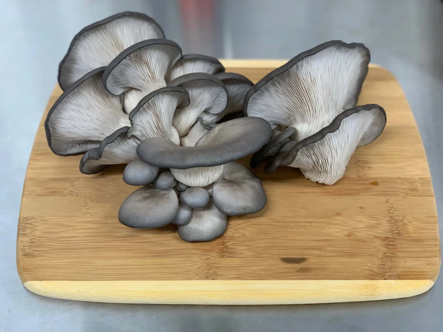 MUSHROOMS