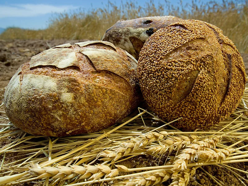 MILLED FLOUR