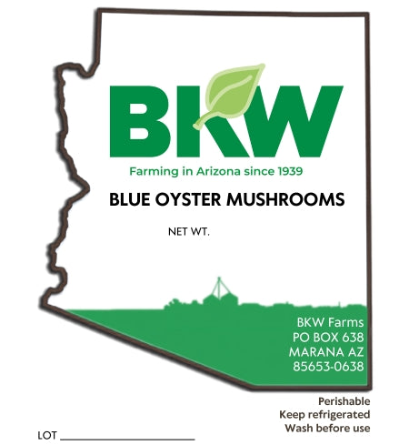 Blue Oyster Mushrooms