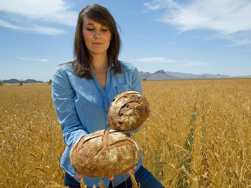 Sustainable Agriculture