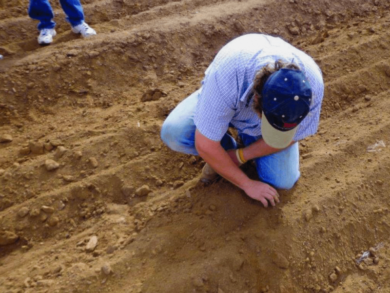 The depth of planting and distribution of the seed is checked.