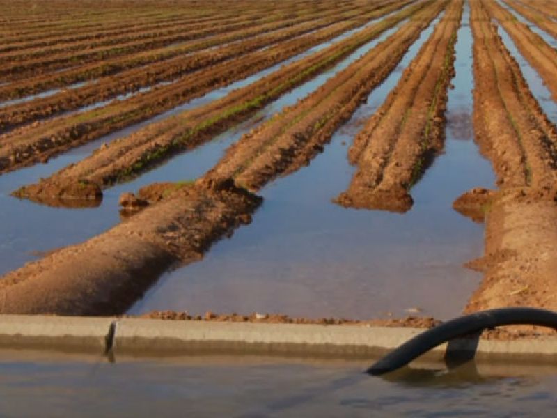After the seed is planted, the field is irrigated.